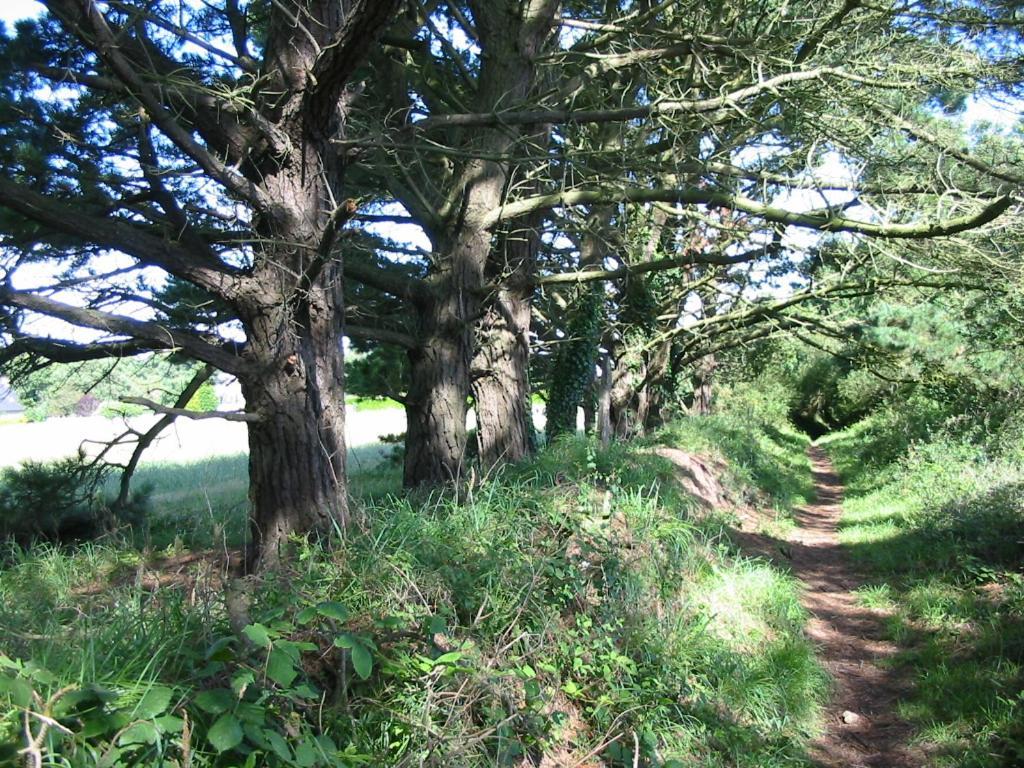 En Bretagne, Villa De 2 A 8 Pers , Meuble De Tourisme 3 Etoiles Nichee Dans Un Ecrin De Verdure A 2500M De La Plage Ploumilliau 외부 사진